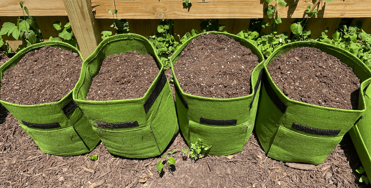 A row of empty green fabric grow bags along a fence