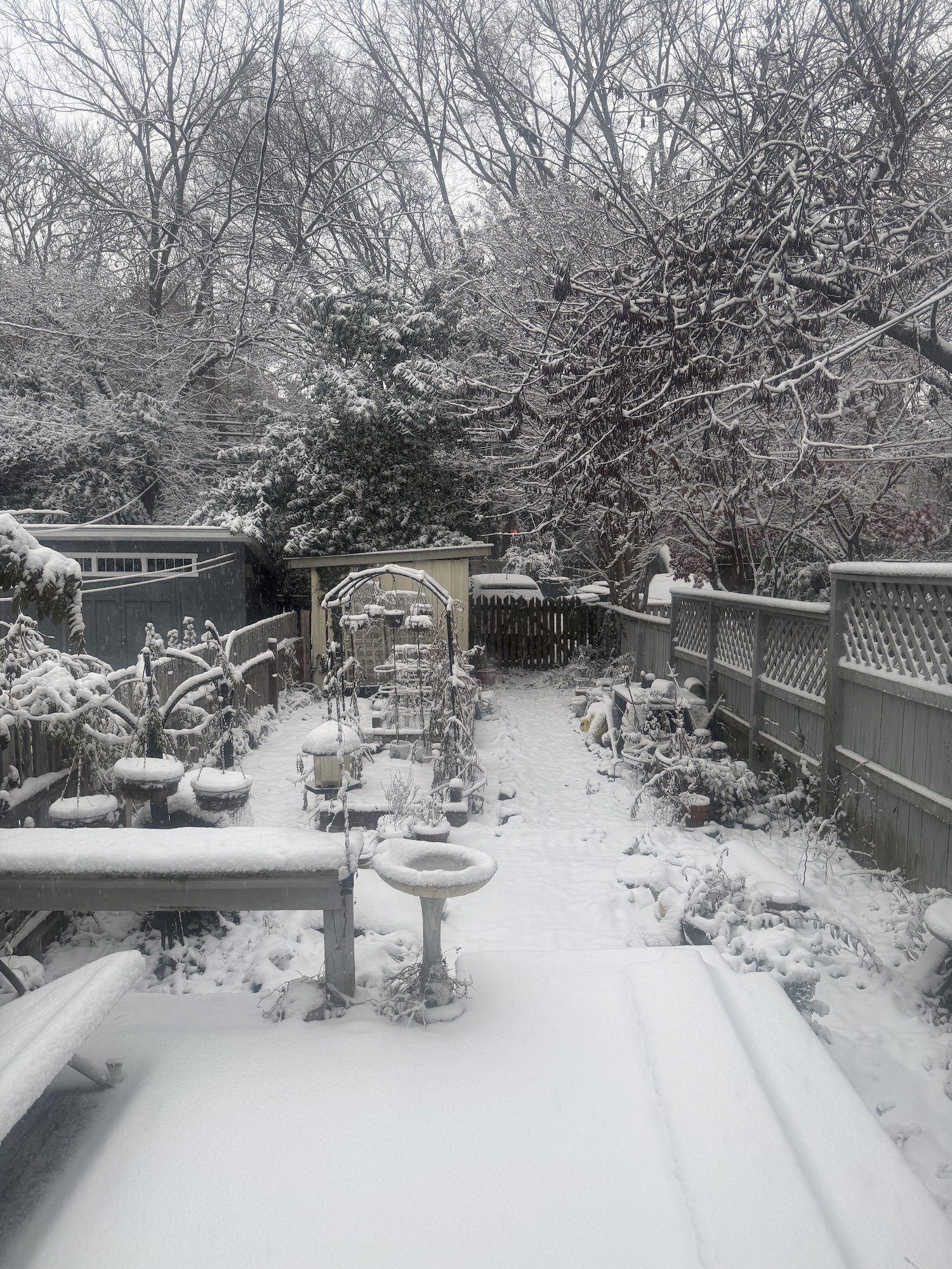 The backyard garden and patio covered in snow