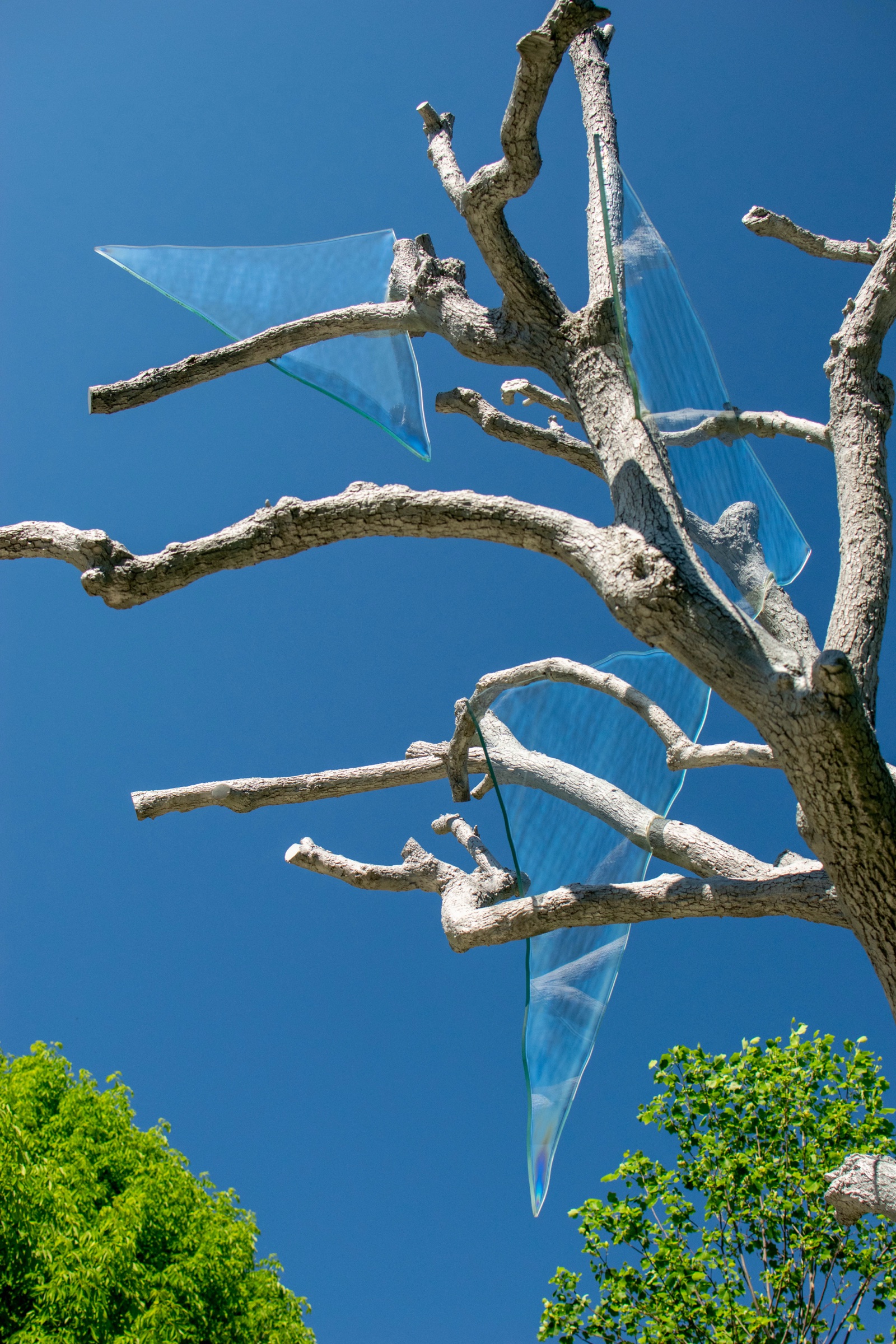 A bare white tree sculpture holding clear glass panels against a deep blue sky